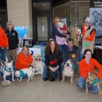 Dog Gone Walking Partners With Bryn Mawr Film Institute and Main Line Animal Rescue Every Saturday in January