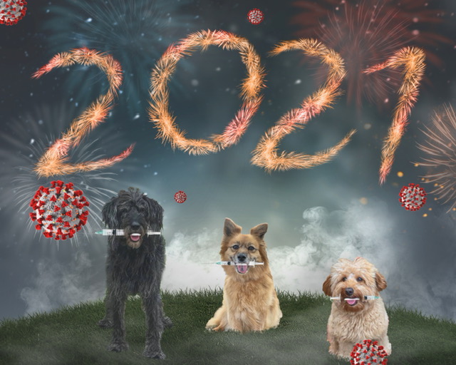 Wishing you a happy and healthy 2021!